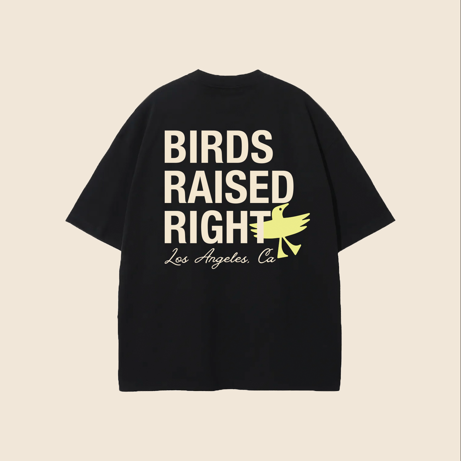 BIRDS RAISED RIGHT TEE - BLACK